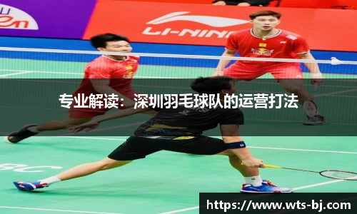 专业解读：深圳羽毛球队的运营打法